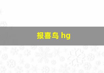 报喜鸟 hg